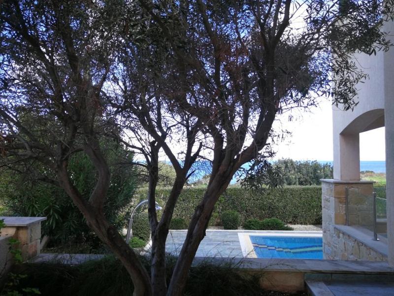 Polis Amorosa Villas מראה חיצוני תמונה